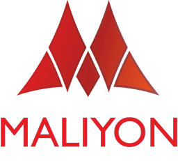 Maliyon Tokenization